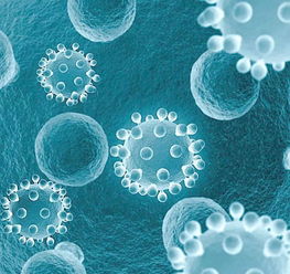 生物技术与公众理解科学 以英国为例的分析