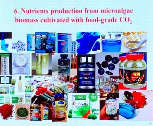 科技赋能碳中和 微藻减排燃煤电厂二氧化碳并联产生物产品