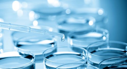 细胞培养干货总结 生物科技领域的关键技术与实践要点