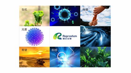 瑞太生物科技 推动生物技术创新，引领健康未来