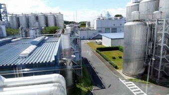 VR虚拟现实技术 重塑工业、建筑安全与生物科技的革新实践